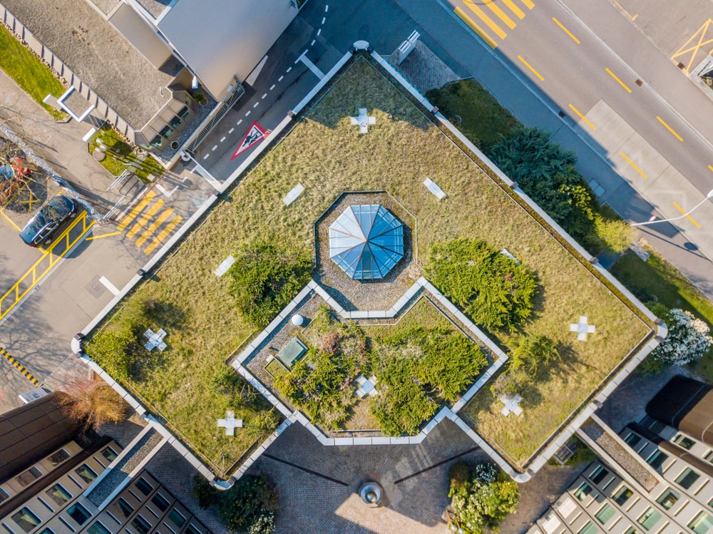 Toiture terrasse végétalisée