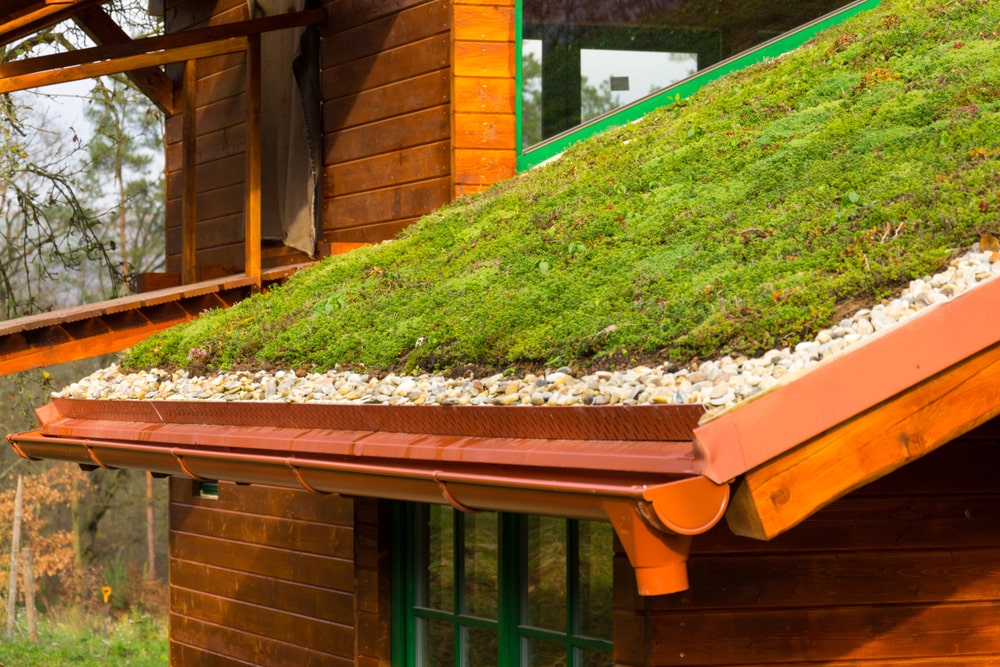 installer vous-même une toiture végétalisée