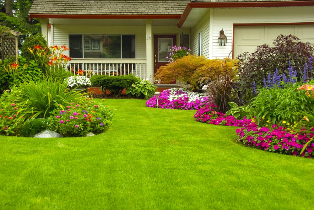 Idée d’aménagement de jardin