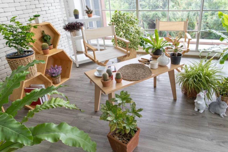 Jardin d’intérieur : qu’est-ce que c’est ? Comment aménager un coin de ...