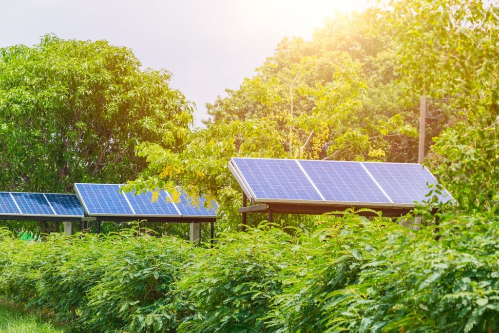panneaux solaires énergie renouvelable
