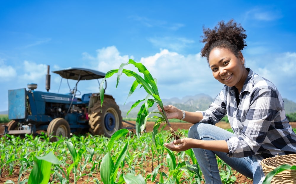 Activités agricoles et horticoles