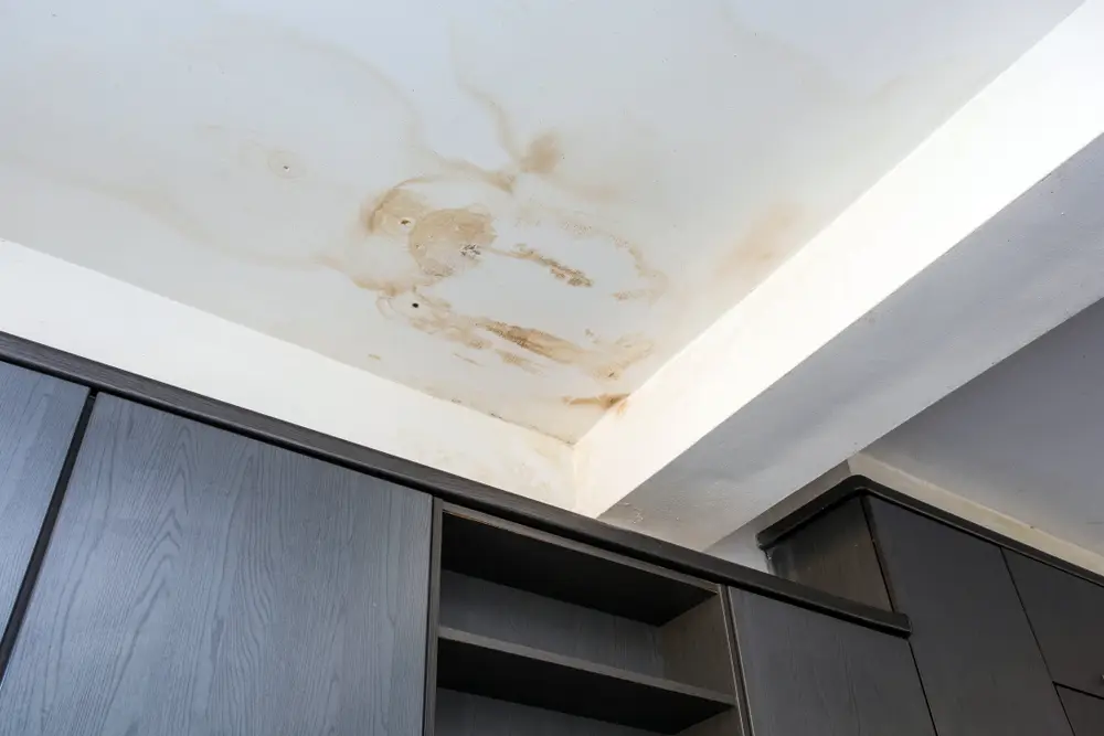Rénover une maison humide